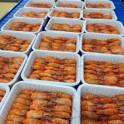 全膏羅氏蝦 水產(chǎn)品中的營(yíng)養(yǎng)瑰寶與餐桌新寵