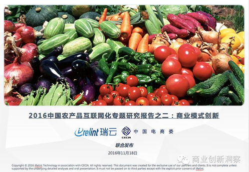 產(chǎn)業(yè)變革與模式突破 2016中國(guó)農(nóng)產(chǎn)品互聯(lián)網(wǎng)化專(zhuān)題研究報(bào)告之二——水產(chǎn)品商業(yè)模式創(chuàng)新